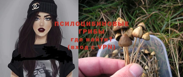 МДПВ Абдулино