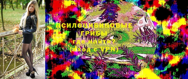 стаф Алексеевка