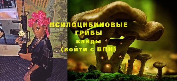 МДПВ Абдулино