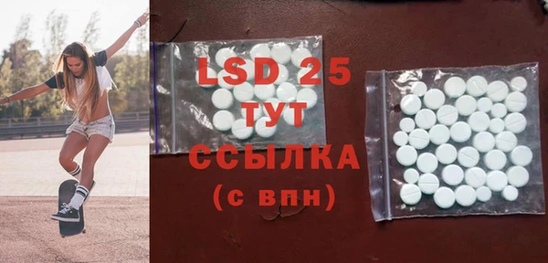 хмурый Абаза