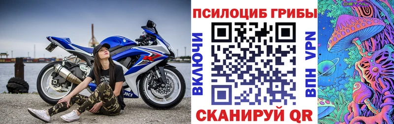 закладки hydra онион Псилоцибиновые грибы Psilocybe Златоуст